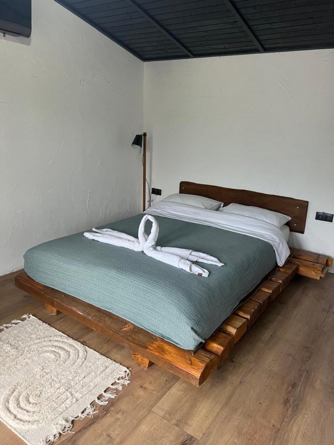 Casa Valeria Baisoara Villa Eksteriør billede